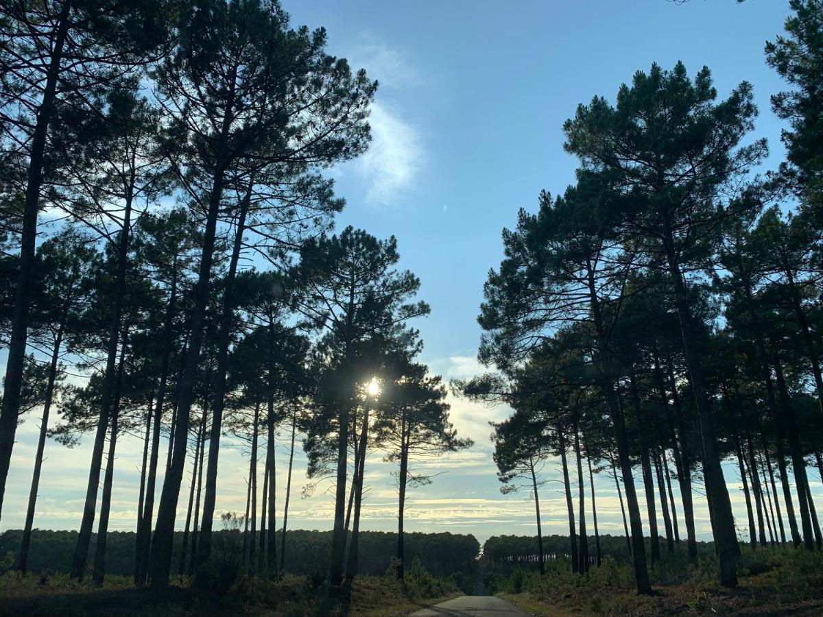 L Estanguet Maison Octogonale En Foret Rion-Des-Landes Bagian luar foto